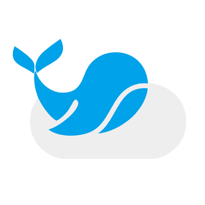 本站由鲸跃盾安全提供高防CDN/加速服务